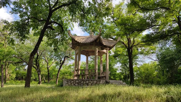 Vieux Gazebo Style Asiatique Milieu Une Forêt Avec Grands Arbres — Photo