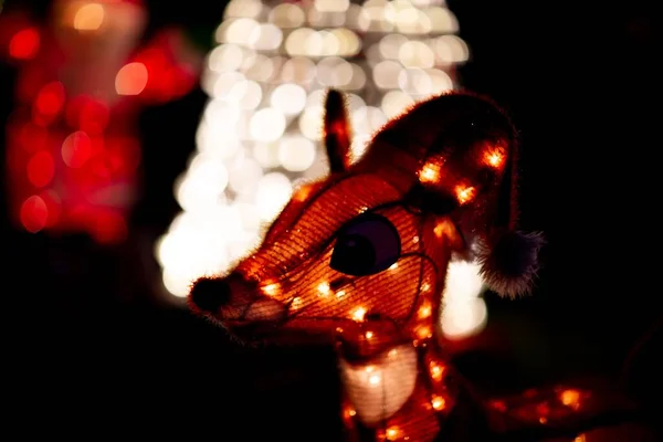 Venkovní Osvětlený Vánoční Jelen Osvětleným Vánočním Stromečkem Rozostřený Pozadí — Stock fotografie