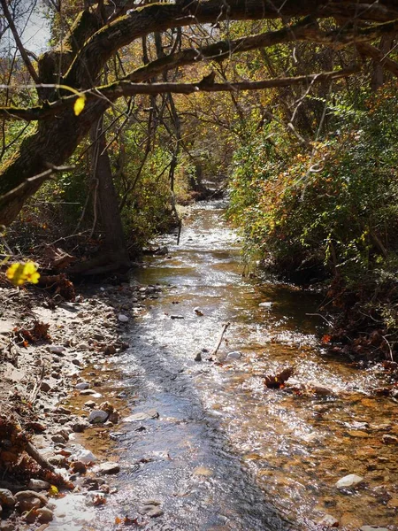 Ένα Κάθετο Πλάνο Ενός Ποταμού Που Ρέει Μέσα Από Πράσινα — Φωτογραφία Αρχείου