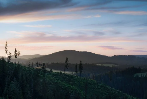 Vzdušný Pohled Svěží Zelený Horský Les Proti Růžové Modré Obloze — Stock fotografie