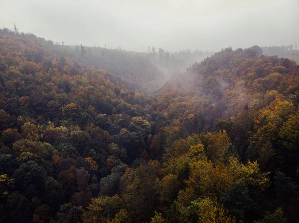 丘の上の秋の森の自然景観 — ストック写真