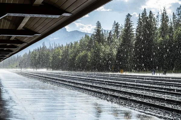 Beautiful Shot Pouring Rain Train Station Cover Tall Evergreens Background — Stock Photo, Image