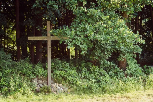 Uma Cruz Madeira Jardim Denso — Fotografia de Stock
