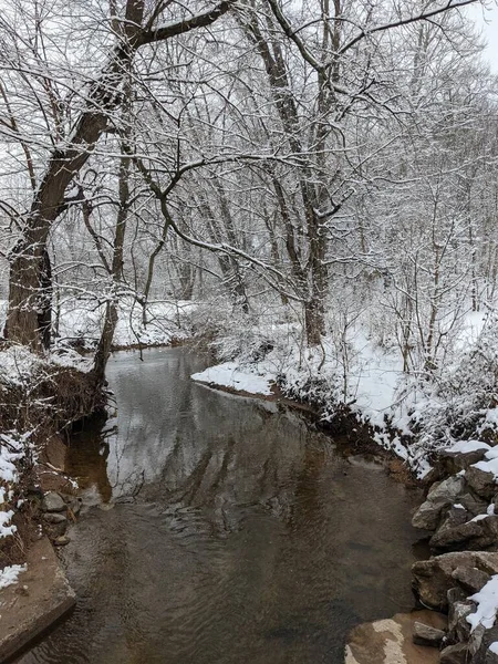 雪に覆われた流木を流れる川の垂直ショット — ストック写真