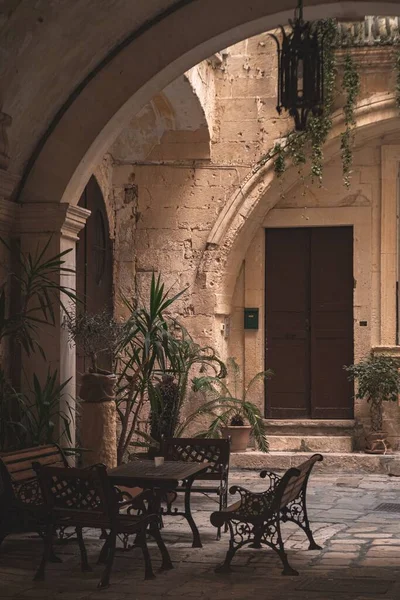 Vertical Shot Chairs Table Surrounded Plants Renaissance Style Building — Stock Photo, Image