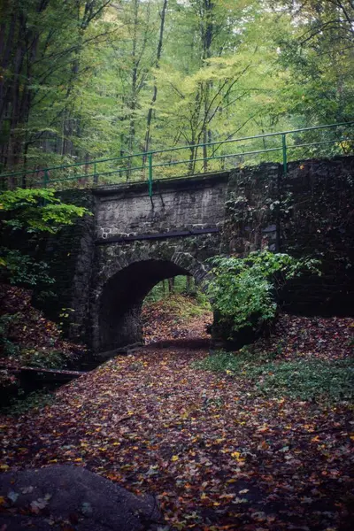 Yeşil Ormandaki Eski Bir Taş Köprünün Dikey Görüntüsü — Stok fotoğraf