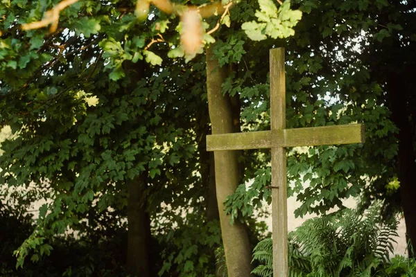 Wooden Cross Dense Garden — Stock Photo, Image