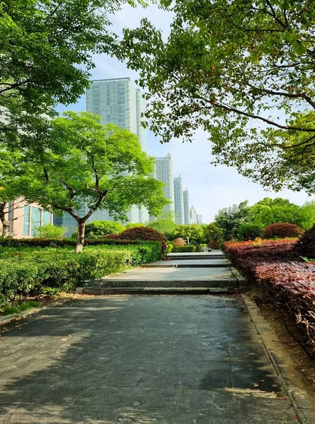 Yüksek Binaların Yakınındaki Yeşil Bir Parkta Bir Sokak — Stok fotoğraf