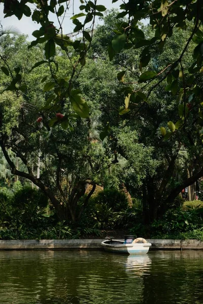 湖上的树木和小船的垂直拍 — 图库照片