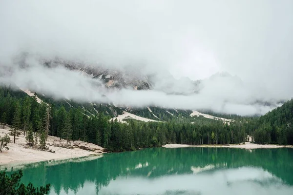 Uma Vista Baixo Ângulo Uma Bela Floresta Perto Lago — Fotografia de Stock