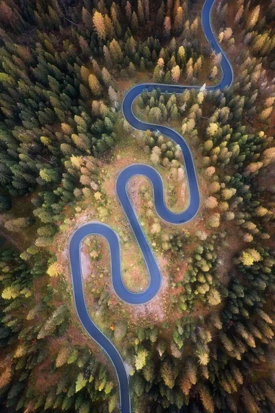 Vertikální Letecký Snímek Vířící Silnice Obklopené Lesem — Stock fotografie