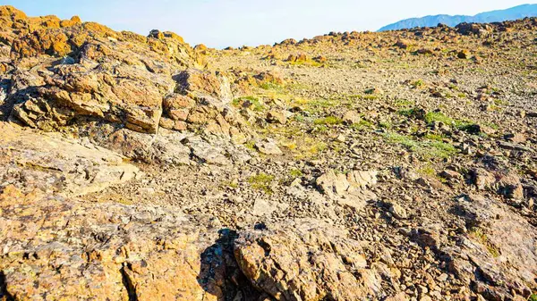 Eine Nahaufnahme Von Felsen Und Steinen Einem Sonnigen Tag — Stockfoto