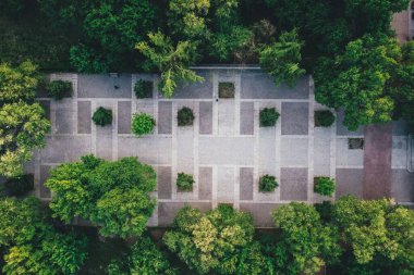 Bitkiler ve ağaçlarla çevrili bir bahçedeki güzel bir taş yolun yüksek açılı üst görüntüsü.