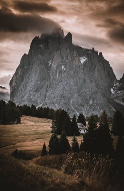 Çam ormanlarıyla çevrili yüksek bir dağın dikey görüntüsü.