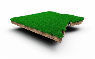 Mısır haritasının çapraz kesitli ve yeşil çimenli 3 boyutlu bir çizimi