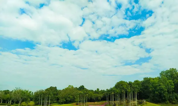 Witte Pluizige Wolken Blauwe Lucht Boven Weelderig Groen Bos — Stockfoto