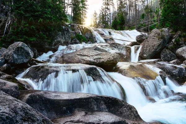 Ein Fluss Fließt Über Die Felsen Wald — Stockfoto