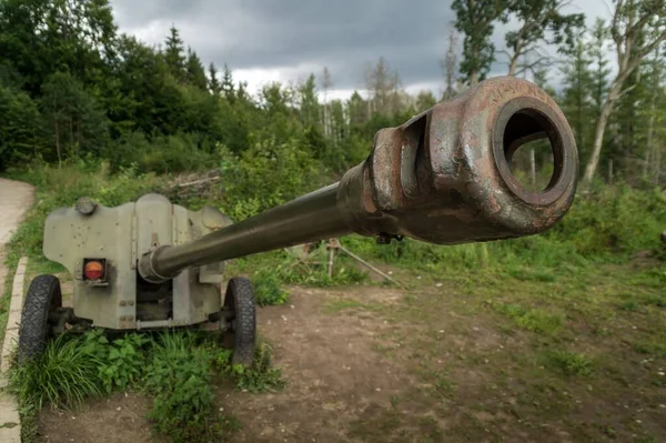 Nahaufnahme Einer Alten Metallkanone Auf Einem Feld — Stockfoto