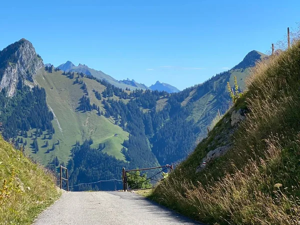 Een Weg Tussen Groene Heuvels Met Uitzicht Hoge Bergen Half — Stockfoto