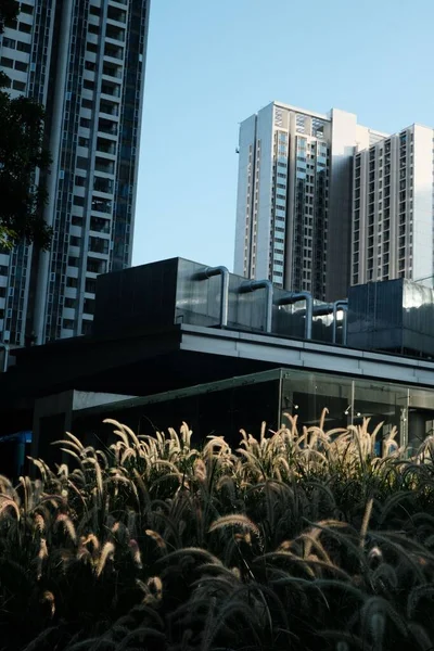 Vertical Shot Beautiful Modern Cityscape Business Buildings Glass Walls Sunlight — Stock Photo, Image