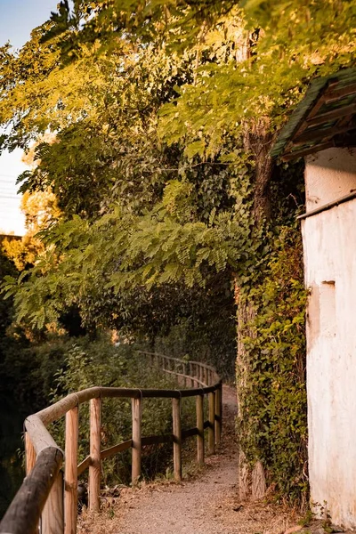 Une Vue Verticale Sentier Nature Avec Une Clôture Bois Bâtiment — Photo