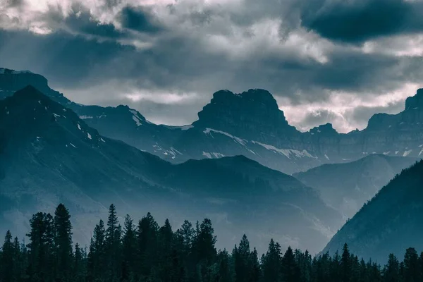 Una Vista Panorámica Bosque Pinos Contra Una Montaña Cubierta Nieve —  Fotos de Stock