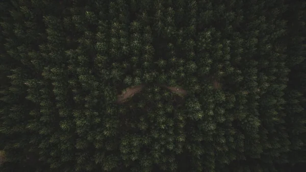 Een Luchtfoto Van Dichte Groene Bomen Het Bos — Stockfoto