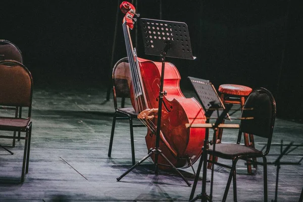 Sandalyesi Müziği Olan Kırmızı Bir Çello Senfoni Orkestrasında Duruyor — Stok fotoğraf