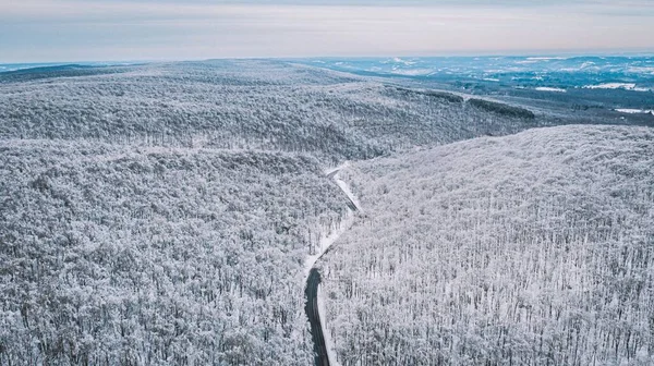 Une Vue Aérienne Des Forêts Enneigées — Photo