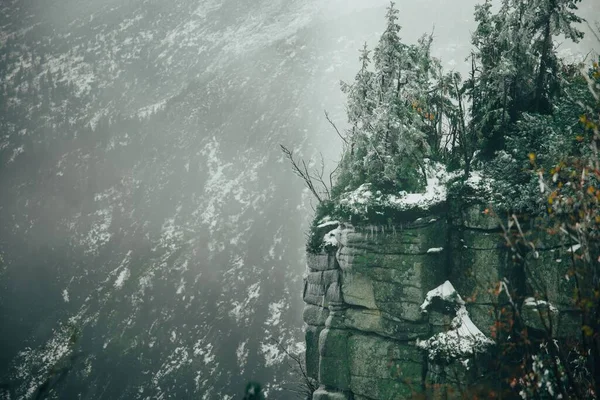 Eine Luftaufnahme Eines Schönen Waldes Der Nähe Der Berge Winter — Stockfoto
