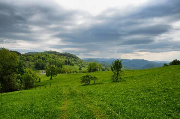 Uma Vista Panorâmica Campo Verde Exuberante Com Árvores Montanhas Fundo — Fotografia de Stock