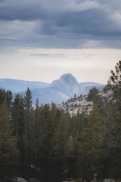 Eine Vertikale Aufnahme Eines Waldes Mit Einem Hintergrund Hoher Berge — Stockfoto