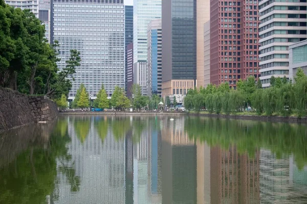 Jezero Park Stromy Japonsku — Stock fotografie