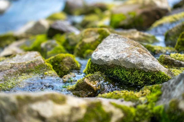 Selektivní Záběr Plesnivého Kamene — Stock fotografie