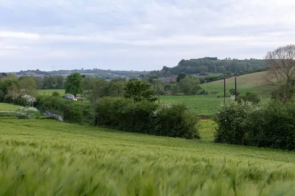 Красивый Зеленый Пейзаж Сельской Местности Юго Западе Соединенного Королевства — стоковое фото