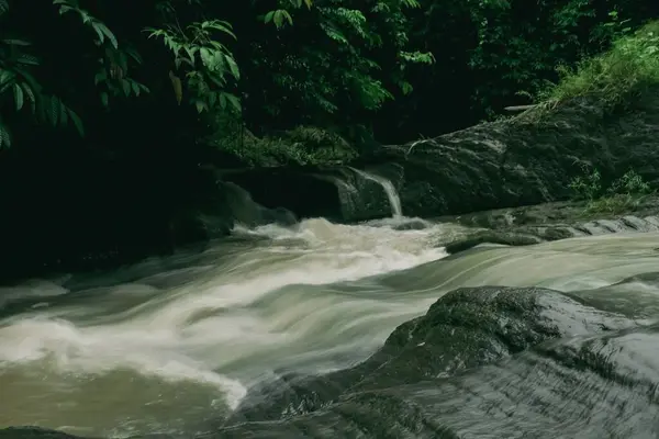 Una Hermosa Vista Río Bosque — Foto de Stock
