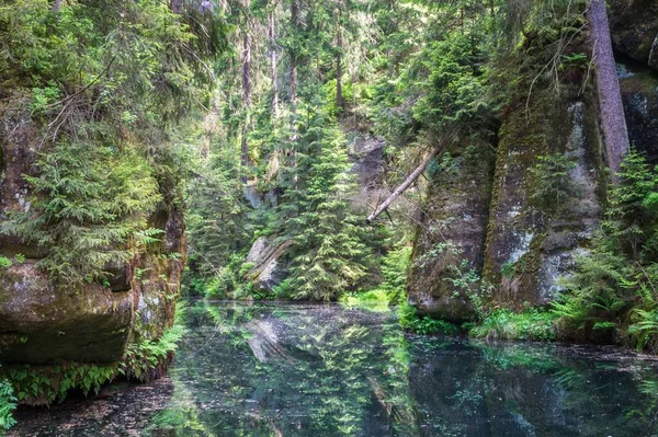 Magnifique Paysage Aquatique Entouré Rochers Végétation — Photo