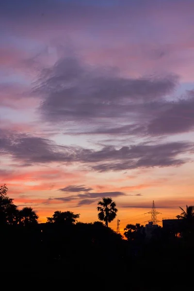 夕阳西下色彩斑斓的云天上的一张垂直的照片 照片上有树木的轮廓 — 图库照片