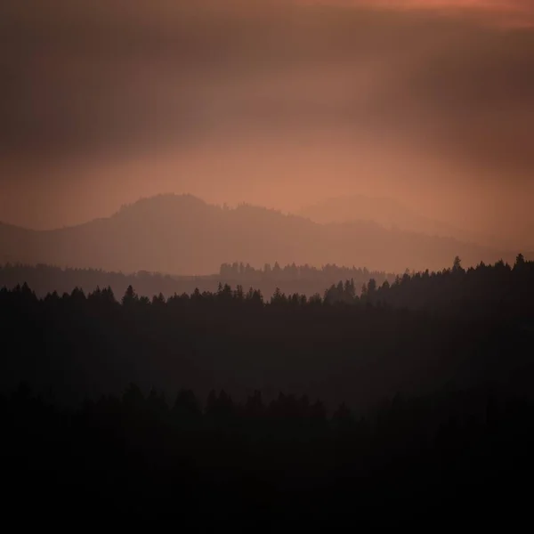 ピンクの夕日の空に対する山の森のシルエットの空中ビュー — ストック写真