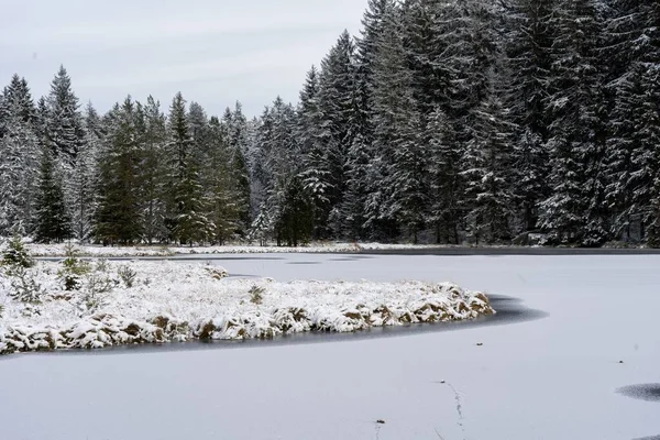 Lago Helado Con Árboles Nevados Orilla Parque Baviera Alemania —  Fotos de Stock