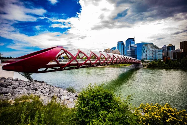Egy Élénk Városkép Vörös Béke Hídról Bow Folyó Felett Calgaryban — Stock Fotó