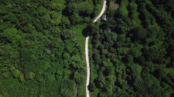 环绕着绿树的狭窄乡村道路的鸟瞰图 — 图库照片