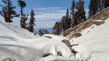 Himalaya dağlarında bulutlu bir gökyüzüne karşı ağaçların kış manzarası