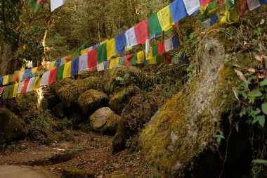 Nepal 'deki ormandaki dua bayraklarının manzarası