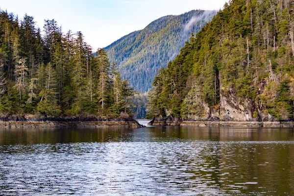Ein Schöner Blick Auf Einen See Einem Wald Mit Hohen — Stockfoto