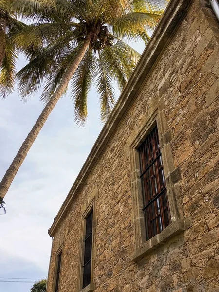 Tiro Vertical Edifício Abandonado Velho Perto Uma Palmeira — Fotografia de Stock