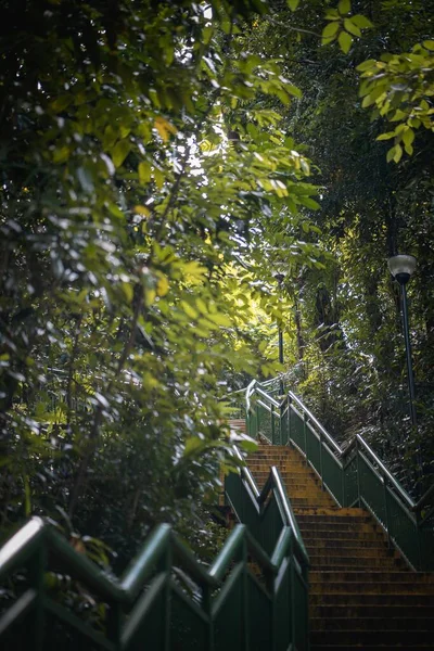 Tiro Vertical Uma Escada Parque Cingapura Luz Dia — Fotografia de Stock