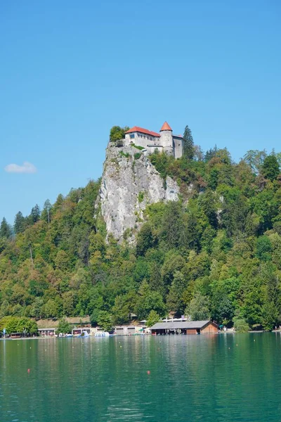 Tiro Vertical Histórico Castelo Bled Uma Colina Alta Lado Lago — Fotografia de Stock