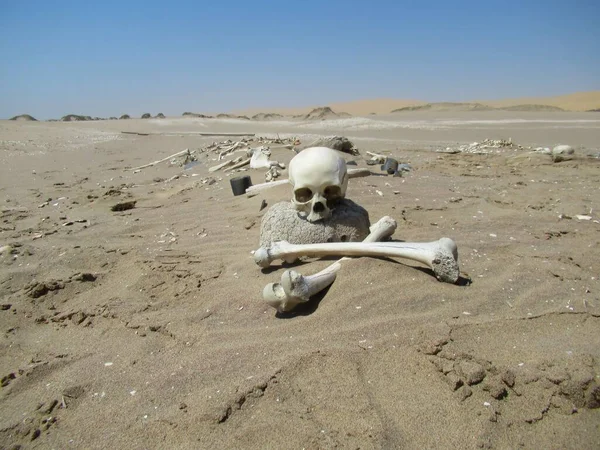 ナミビア砂漠がアフリカ南西部の大西洋と出会う スケルトン海岸 漂白された骨や難破船にちなんで名付けられました — ストック写真