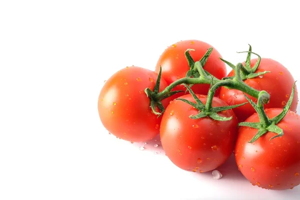 Färska Saftiga Tomater Isolerad Vit Bakgrund — Stockfoto